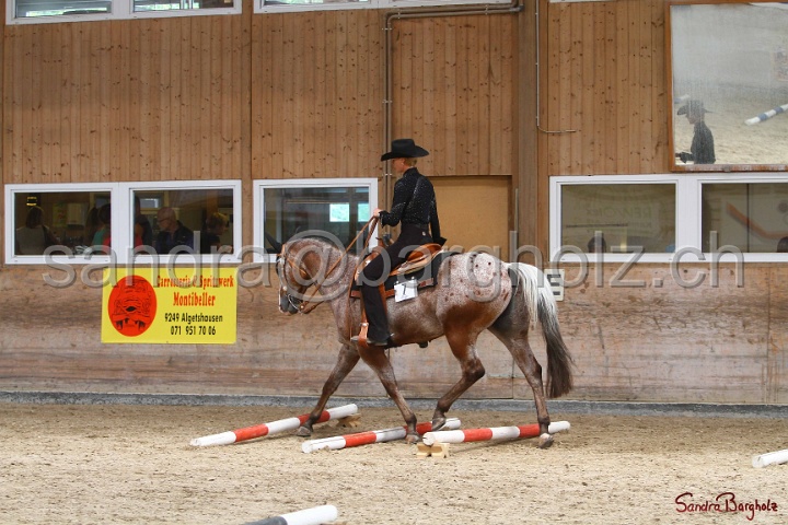 28-ApHC OT_165.jpg